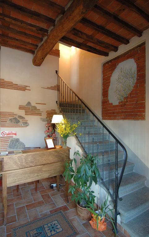 Le Ginestre B & B Massarosa Kültér fotó