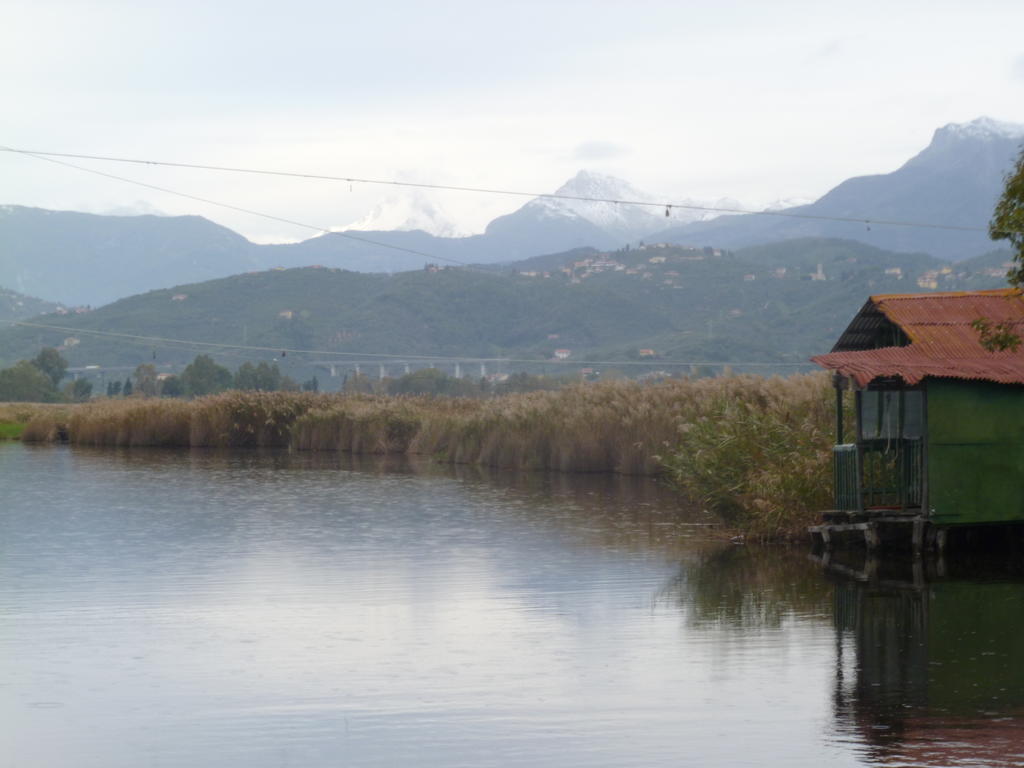 Le Ginestre B & B Massarosa Kültér fotó